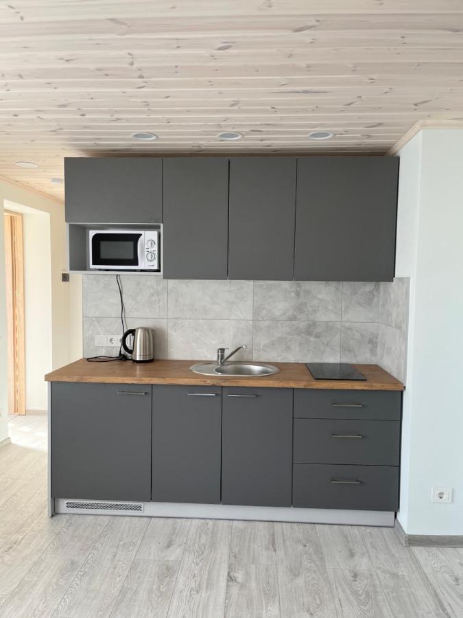 Ska Anyksciai Apartman Kültér fotó